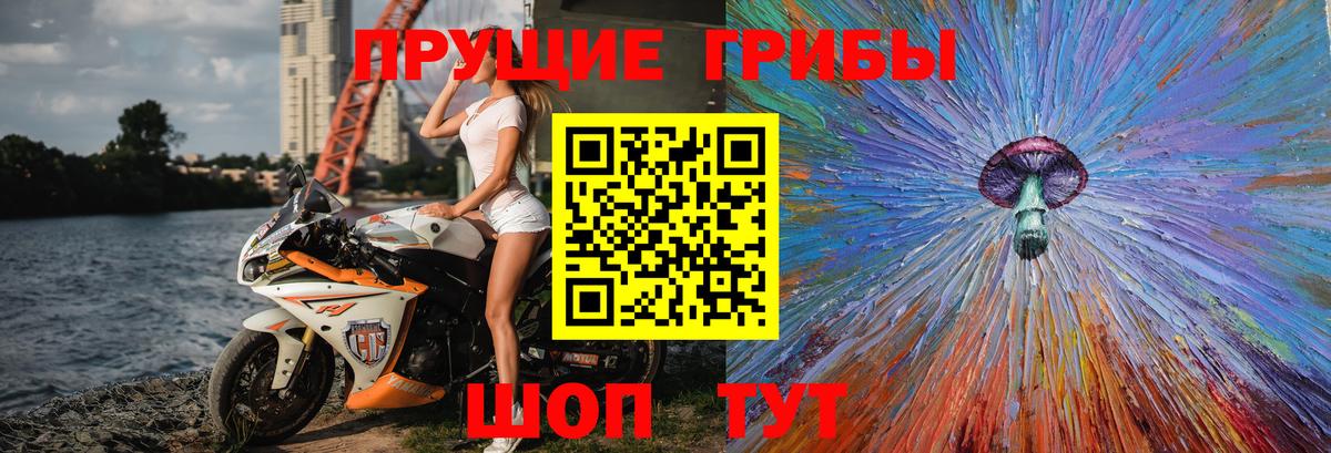 Псилоцибиновые грибы GOLDEN TEACHER Асбест
