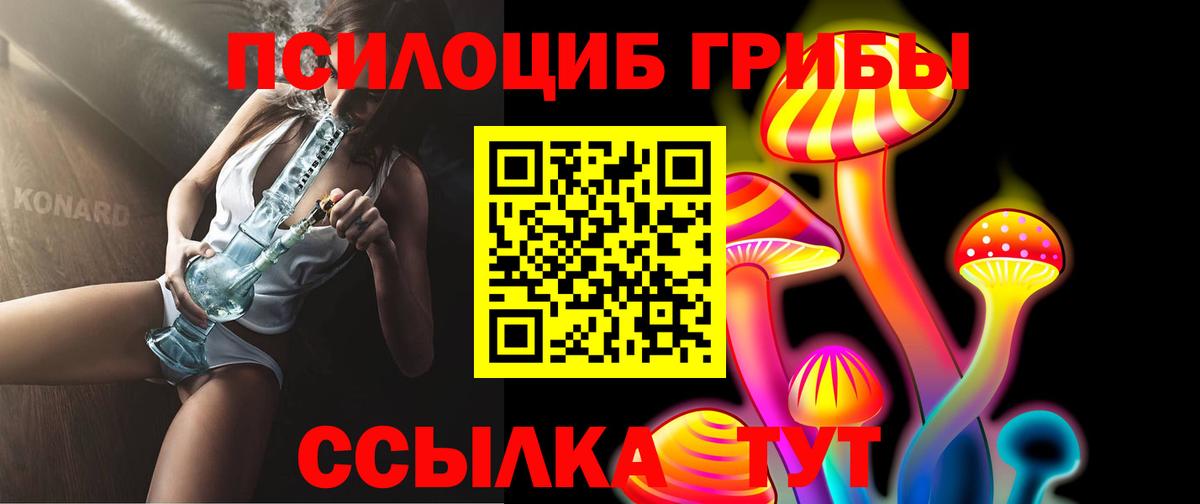 Асбест  цены   Вход с VPN  Псилоцибиновые грибы GOLDEN TEACHER 
